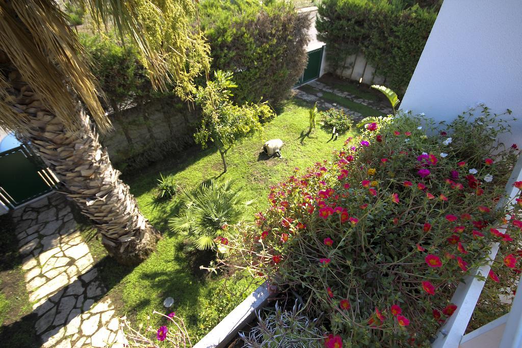B&B Villa Genny A Pochi Passi Dal Mare San Cataldo  Oda fotoğraf