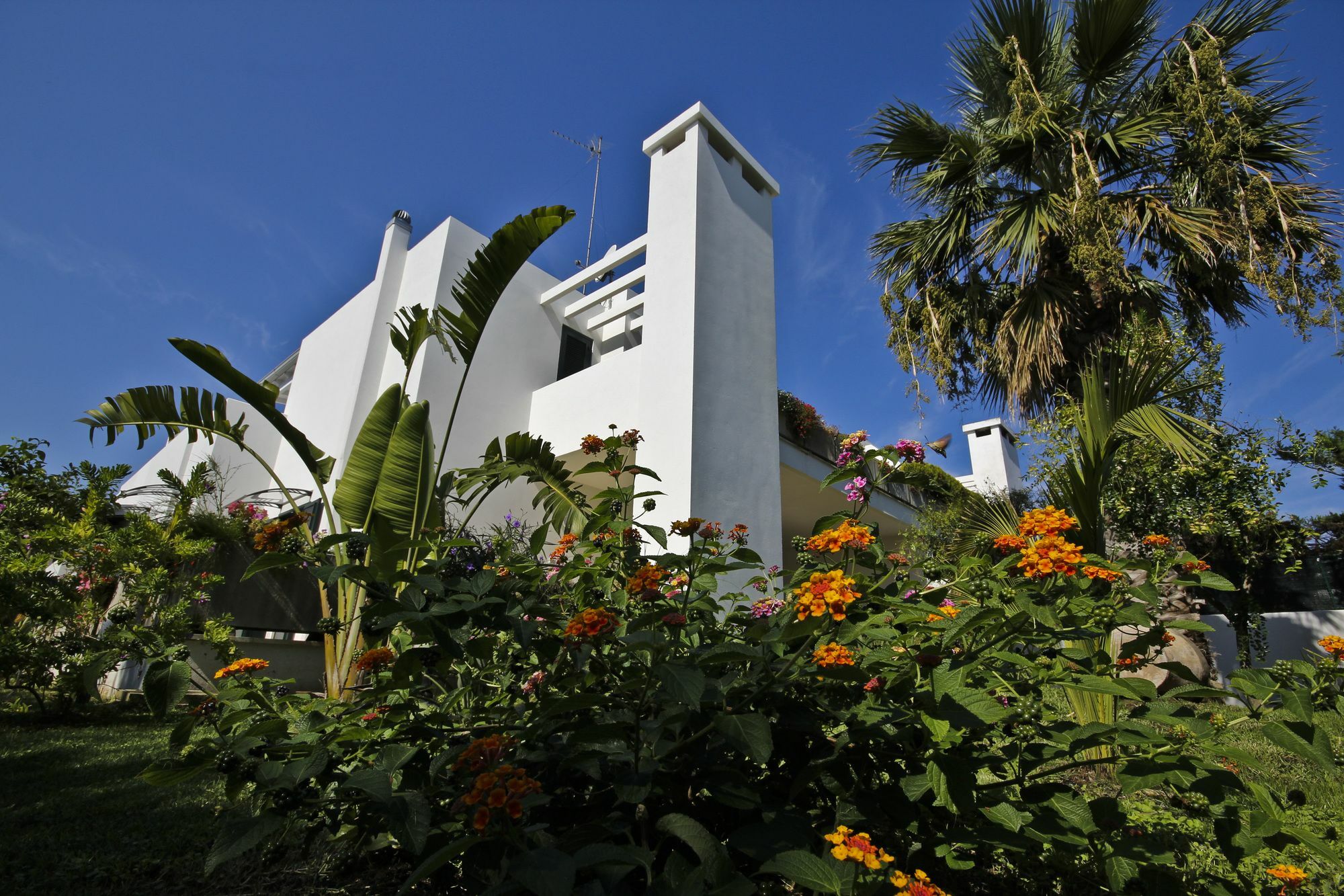 B&B Villa Genny A Pochi Passi Dal Mare San Cataldo  Dış mekan fotoğraf